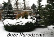 2009-12-22 Boże Narodzenie